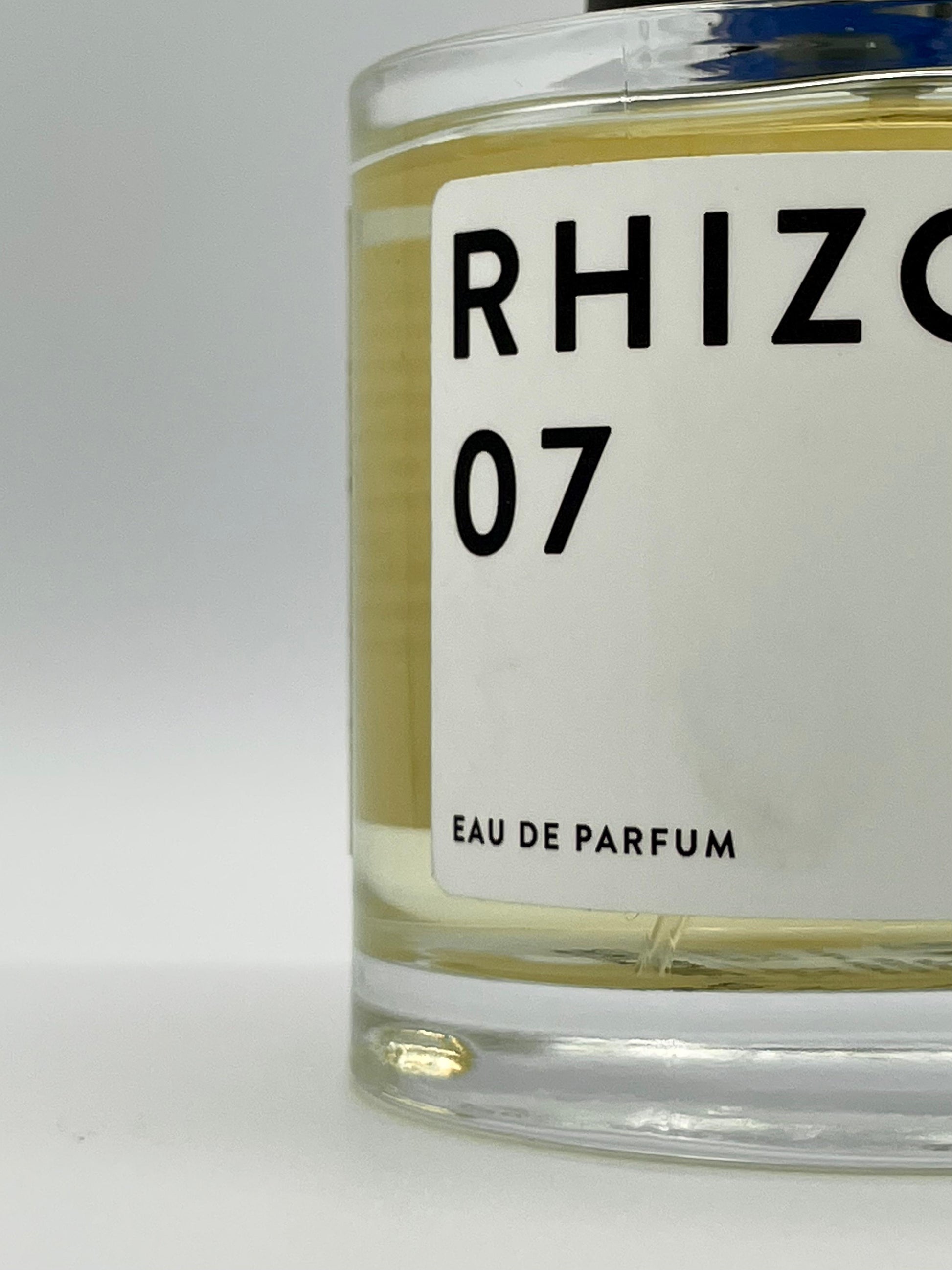 RHIZOME 07 - Sapigni Abbigliamento