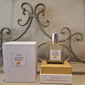 Orchidea Sensuale - Sapigni Abbigliamento