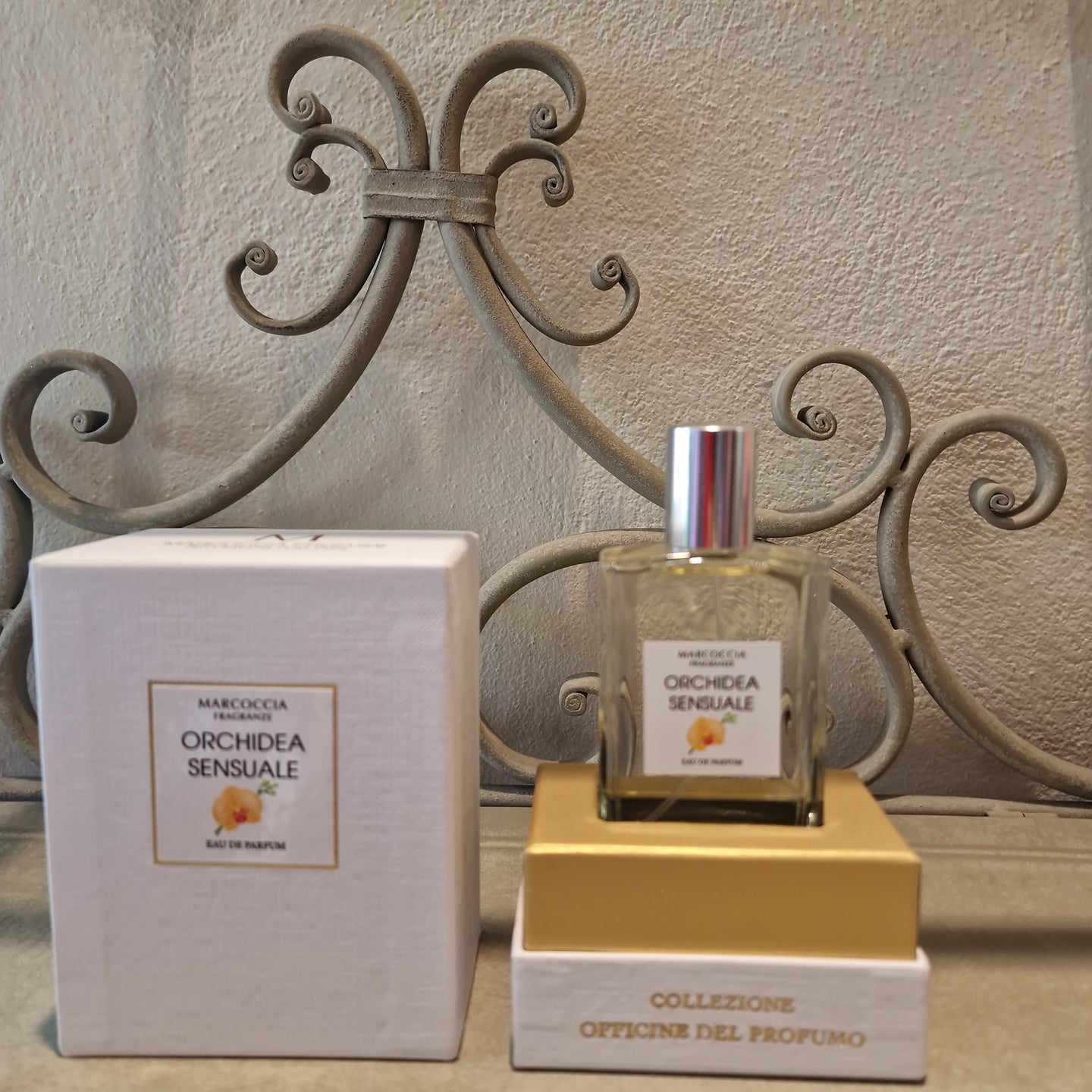 Orchidea Sensuale - Sapigni Abbigliamento