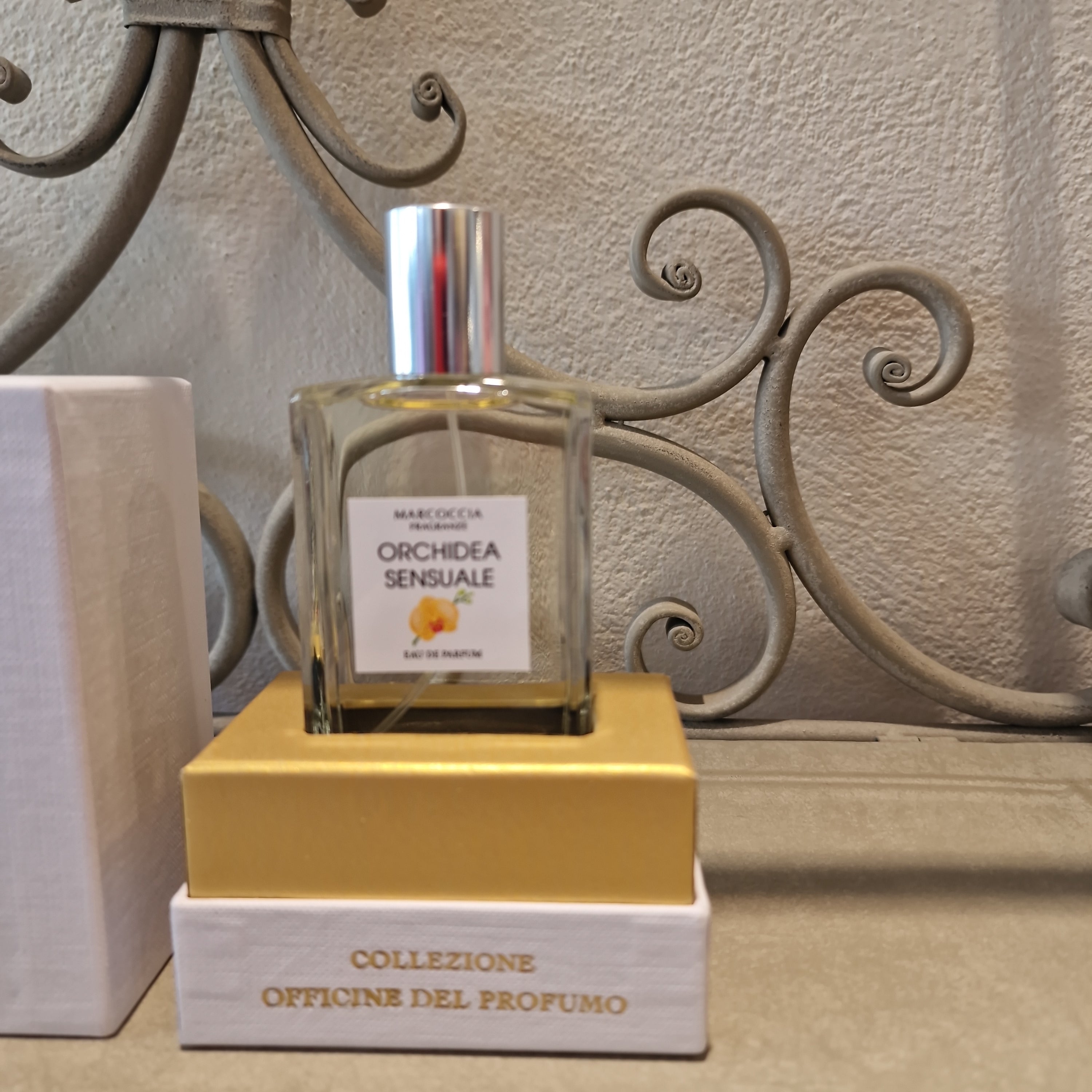 Orchidea Sensuale - Sapigni Abbigliamento